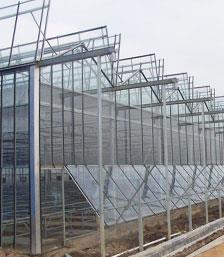 钢结构温室大棚案例